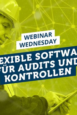 Webinar: Flexible Software für Audits und Kontrollen